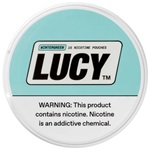 Lucy Pouches Mint 12mg 